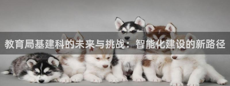 富邦娱乐线路